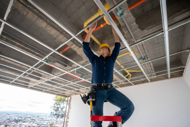 Best Local Plumber Services  in Pendleton, IN