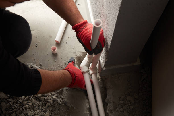 Best Clogged Drain Plumber  in Pendleton, IN